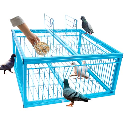 Humane Pigeon Trap Cage - Safe One-Way Entry & Escape-Proof Design