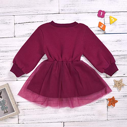 Haokaini baby meisjes ronde hals lange mouw jurk partij mesh jurk voor peuter - Afbeelding 3