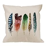 HGOD DESIGNS Feathers Decorative Throw Pillow Cover Case,Colorful Feathers Cotton Linen Outdoor Pillow Cases Square Standard Cushion Covers for Sofa Couch Bed Car 18x18 inch Muti