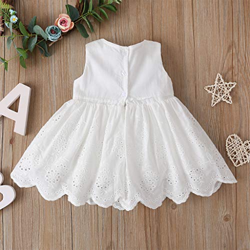 Toddler Baby Girls Dress Embroideries Floral Summer Seaside Beach Sundress Onepiece Outfits (White Princess Dress, 9-12 Months) #TOP2