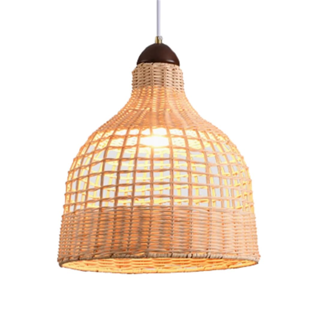 SHUANGZ Tropical Southeast Asia Style Wicker Lighting Fixture Rattan Boho Chandelier Bamboo Cage Metal Lantern Modern Hand-Woven Wicker Tropical Hanging Lamp for Bedside, Living Room, Balcony