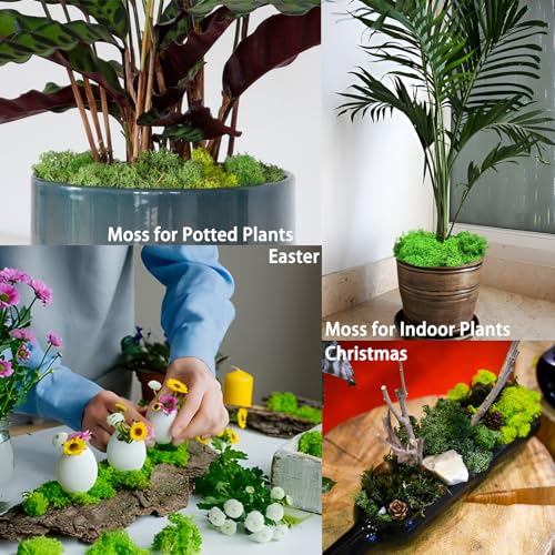 Recopilación y reviews de Plantas sinteticas para pared los más solicitados. 31 Imagen adicional