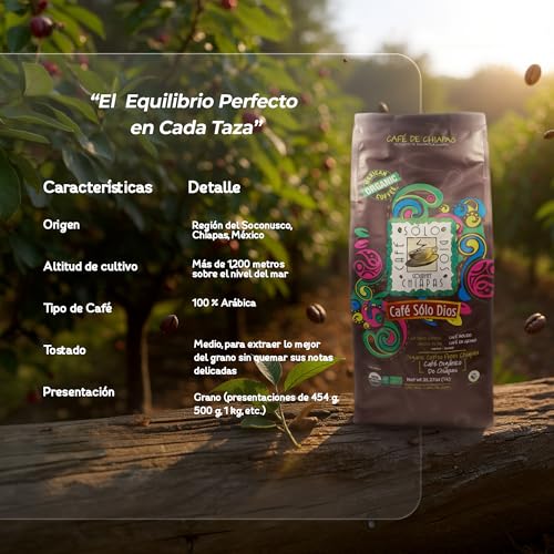 Consejos para Comprar Coffee bean Top 10. 20 Consejos para Comprar Coffee bean Top 10. 14