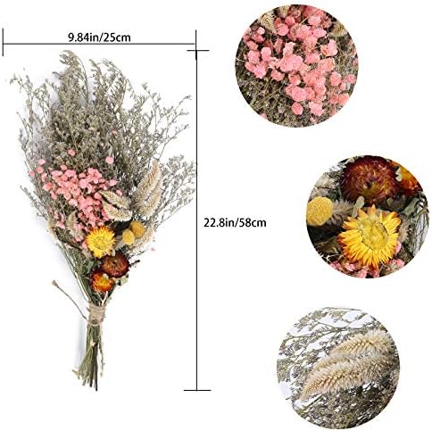 XHXSTORE Natural Dried Flowers Drid Craspedia Artificial Gypsophila Flower Bouquet Dried Flower Set Mixed Multiple Colorful Dried Flowers for Wedding Home Table Vase Office Floral Arrangement Decor