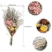 XHXSTORE Flores Secas Naturales Rosas Ramo Flores Gypsophila y Margarita para 0ficina...
