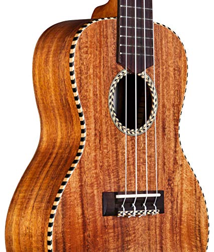 Cordoba guitares 25s Ukulélé soprano, Soprano - Les Beatles, Paul McCartney, John Lennon, RIngo Starr, George Harrison Cordoba guitares 25s Ukulélé soprano, Soprano – Image 7