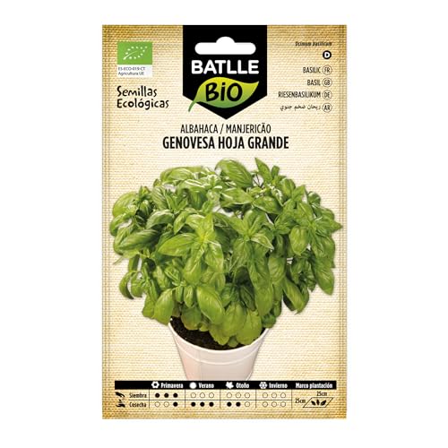 Graines Bio de Batlle - Basilic Grand Vert (1,5g)