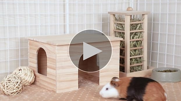 Niteangel　木製ケージ Amazon.com : Niteangel Bigger World - MDF Aspen Terrarium