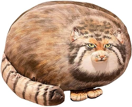 ʂ  }klRʂ 킢 傫 A     NbV Dw G _炩   YQ uE n