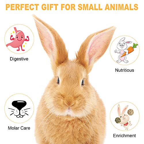 LSSH GmbH 25Pcs Timothy Hay Sticks , Natural Flowers Flavored Timothy Hay Sticks , Natural Chews for Rabbits… - Image 7