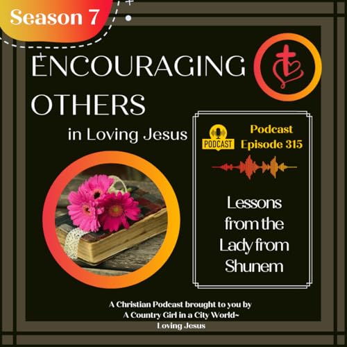 Page de couverture de Ep. 315: Lessons from the Lady from Shunem