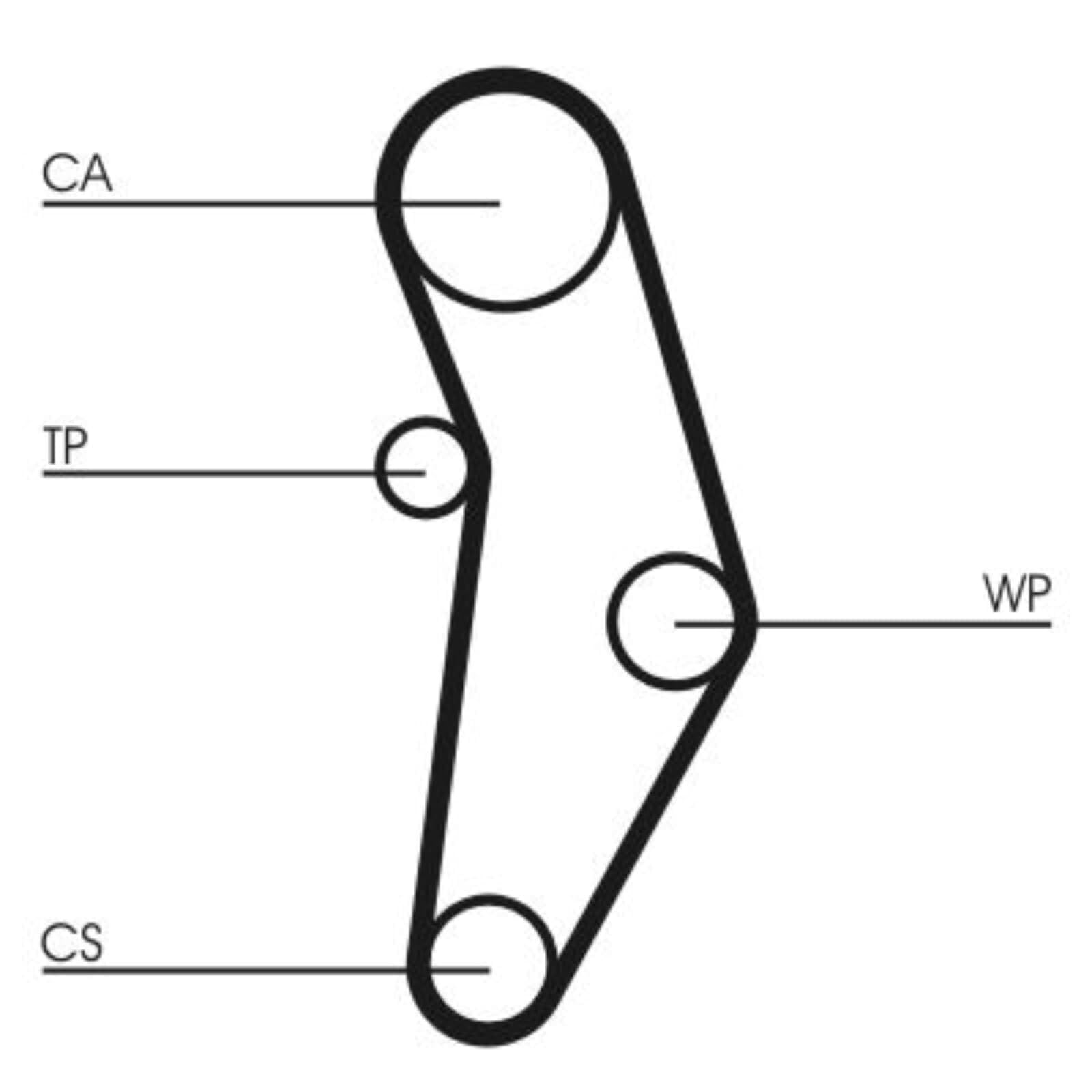 CONTITECH CT1049K1 Correa