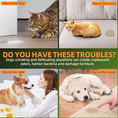 Dog Potty Training Spray for Dogs and Puppies - Go Here Attractant Spray to Pee and Poop in One Spot,Safe & Effective Puppy Pee Spray Indoor & Outdoor-Dog Training & Housebreaking Aid -100ml - Image 5