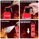 2 Pack ABC Dry Chemical Fire Extinguishers with Mount - Image 6