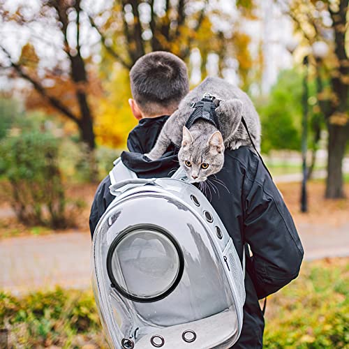Galatée Katzen Rucksack Träger, Hund, Haustier Rucksack Blasen Rucksack, wasserdichte, Klare Haustier Kapseltasche Im Freien, Raumkapsel Haustier-Rucksack Belüften(Grau, Transparente Abdeckung)