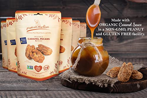 Sea Salt Caramel Pecans - Vegan, Kosher, Gluten-Free, Gmo-Free Pecan Pralines - 4Oz (Pack Of 6 Bags) - Satisfaction Guarantee #TOP1