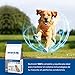 Avantis Pet Original - Futter für Erwachsene Hunde mittlerer und großer Rassen, 3 kg, 100% komplettes und ausgewogenes Futter - Sehr ernährungsphysiologisch mit Huhn und Reis
