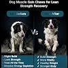Muscle Gain Chews Dog Weight Gainer Supplements with High Protein & Canine Amino Acids Puppy Vitamins Canine Muscle Builder Formula for Bully & All Breeds Puppies & Adult & Senior Dogs-100