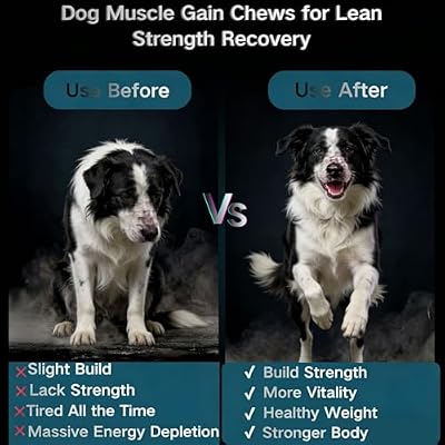 Muscle Gain Chews Dog Weight Gainer Supplements with High Protein & Canine Amino Acids Puppy Vitamins Canine Muscle Builder Formula for Bully & All Breeds Puppies & Adult & Senior Dogs-100