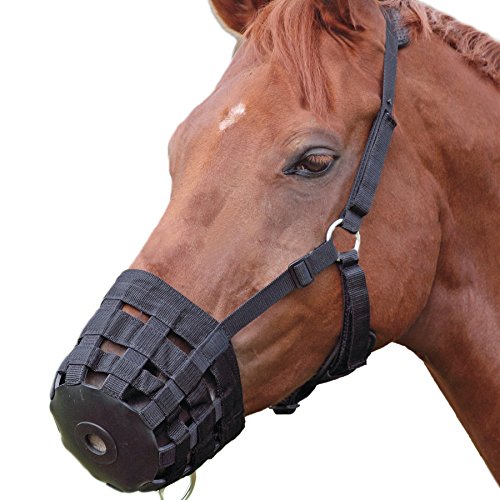 Alfie Pet - Equestrian Claude Adjustable Easy Breathe Nylon Horse Grazing Muzzle