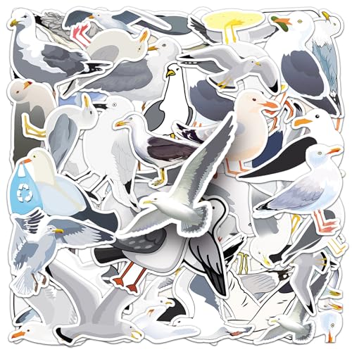50 pegatinas de gaviotas para motocicleta, frigorífico, portátil, maleta, equipaje, parachoques, estéticas, lindas, animales, gaviotas, impermeables, regalo para niños y adultos, pegatinas de graffiti