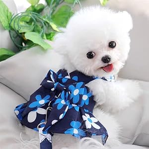 Dog Harness Dress Floral Puppy Dress with Leash Ring and Leash Summer Pet Outfits Apparel Dog Clothes for Small Dog Girl Chihuahua Yorkies Shih tzu (Blue, Medium)