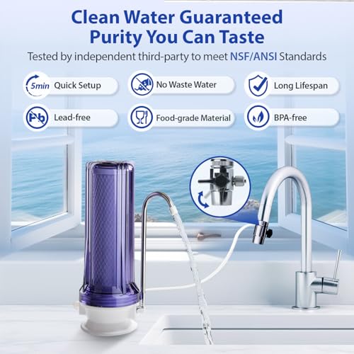 iSpring CKC1C Countertop Drinking Water Filtration System with Carbon Filter, 2.5