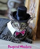 The Aristocrat Top Hat (Hat Only) (black ribbon)