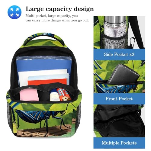 Sac à dos ergonomique et trousse cricket pour ne plus manquer de place au collège - 3