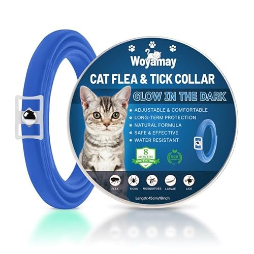 Woyamay Collar Antiparasitario Gatos, Luminoso Collar Antipulgas y Garrapatas Gatos Impermeable e Ajustable Collar Antipulgas Gatos, 8 Meses de Protección, Collar Gato contra Pulgas y Piojos, Azul