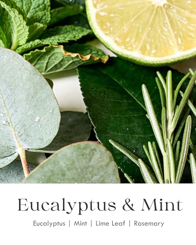 Image of AOOVOO Eucalyptus Mint Candle for Relaxation - 3 Wick 12oz Large Scented Candle with Green Aventurine & Eucalyptus Leaves Inside, Soy Candles Non Toxic for Meditation, Stress Relief, Energy Cleansing