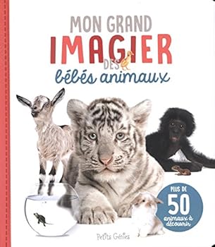 Hardcover Mon grand imagier des bébés animaux [French] Book