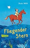  Fliegender Stern