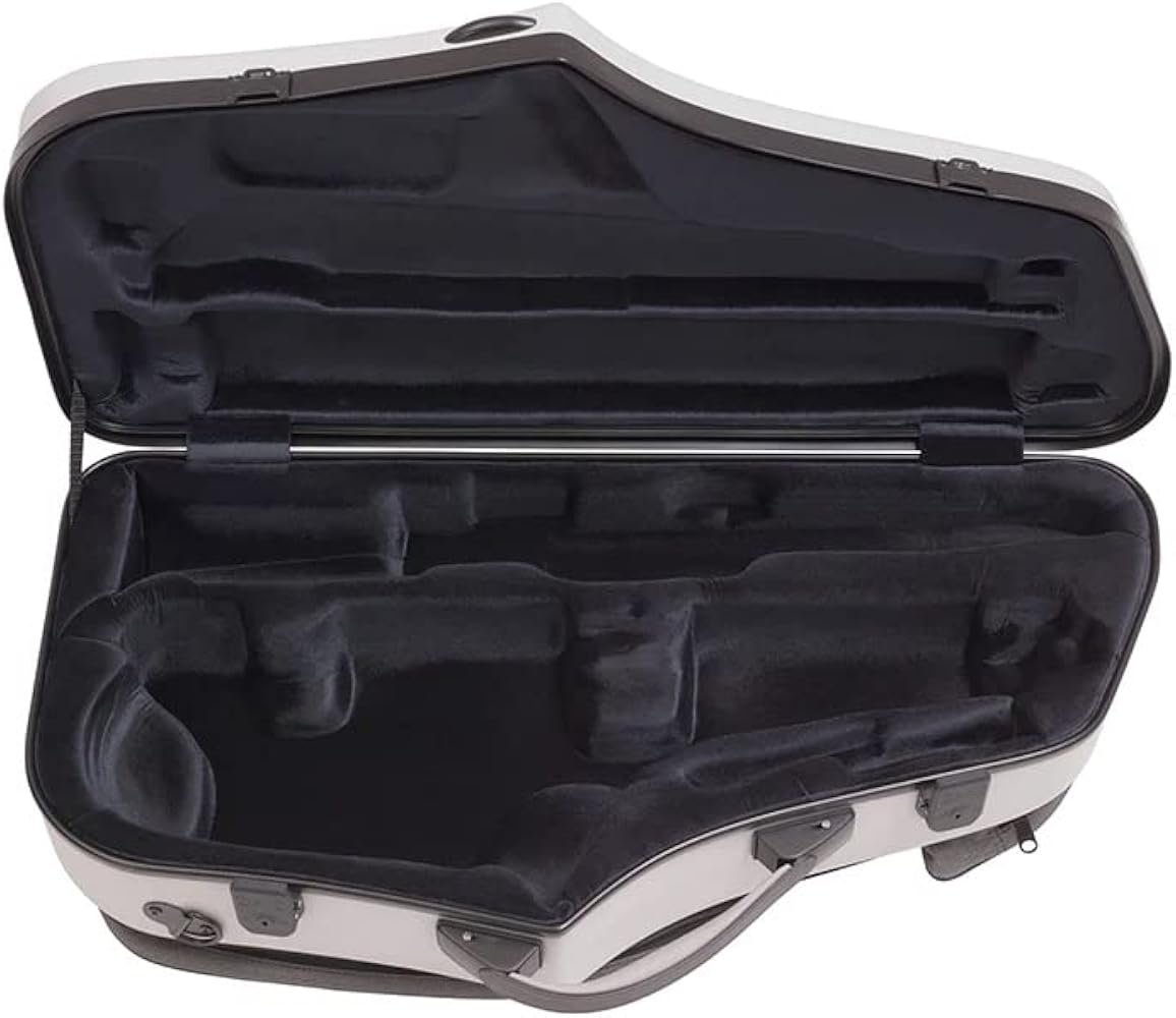 Amazon.com: BAM! Saxophone Double Case (4120XLGC) : Musical