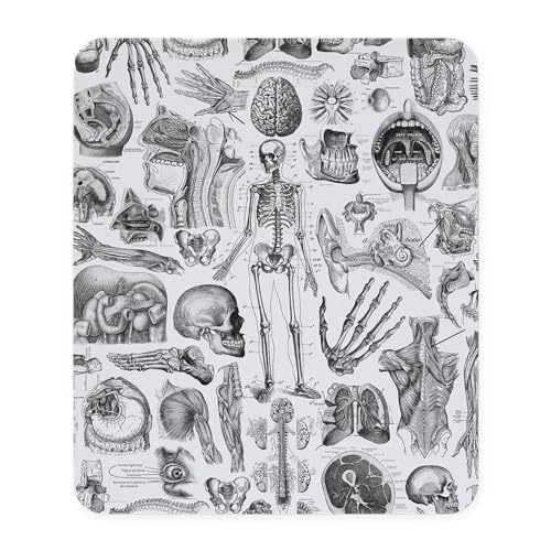 CafePress – anatomía _ W _ 2 _ – Edredón de goma antideslizante alfombrilla de ratón, alfombrilla de ratón para juegos