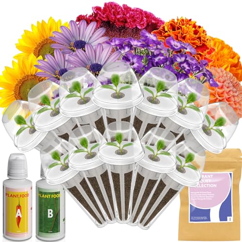 Lyko Fragrant Flower 12-Pod Kit