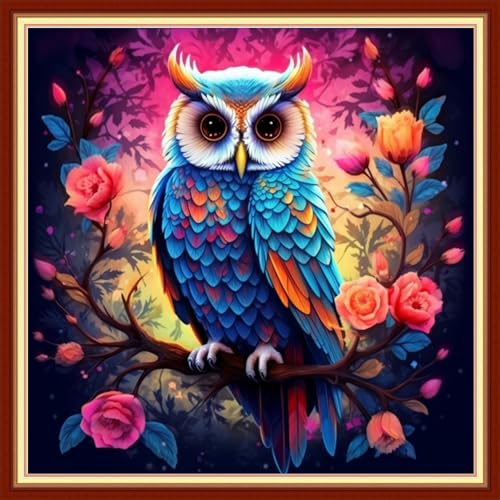 Image of Dimxvean Stamped Cross Stitch Kits,Cross Stitch Kits for Adults Beginners,Embroidery Kits Full Range of Cross Stitch Stamped Kits Needlepoint Kits Cross Stitch Patterns-Colorful Owl 18x18 inch