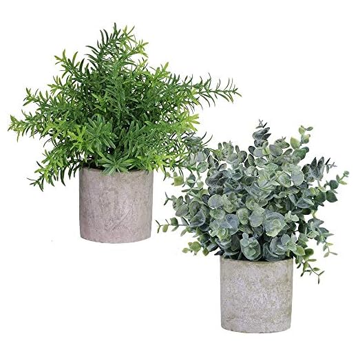 Winlyn 2 Pack Artificial Potted Plants Faux Eucalyptus & Rosemary Greenery in Pots Small Houseplants 8.3"-9" Tall for Indoor Greenery Tabletop Décor Centerpiece