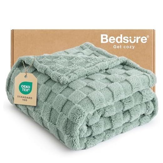 21+ Fun and Creative Bonfire Party Ideas for Unforgettable Nights 5 Bedsure Sage Green Throw Blanket for Couch - Checkered Fleece Blankets Gifts for Women Men Girls, Cute Soft Cozy Throw for Bedroom Home Decor Gifts, 50x60 Inches