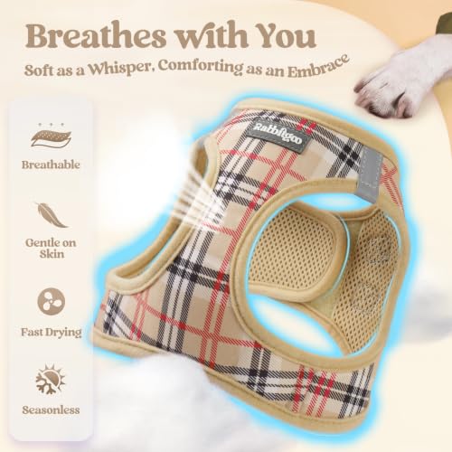 Image of rabbitgoo Dog Harness Small Sized and Leash Set, Step-in Puppy Pet Vest