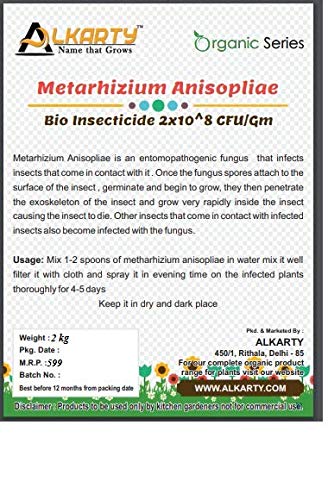 Metarhizium Anisopliae Bio Insecticide, 2 kg