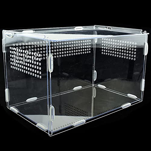 Boîte à Nourriture pour Reptiles,15cm x 15cm x 20cm Boîte de Transport Transparente en Acrylique,Convient aux lézards, araignées, Grenouilles cornues et coléoptères Cover
