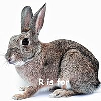 R is for ...: A Learning My Alphabet Book 1516948637 Book Cover