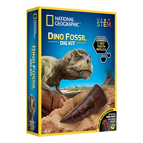 National Geographic Kit Fossiles - vue 4