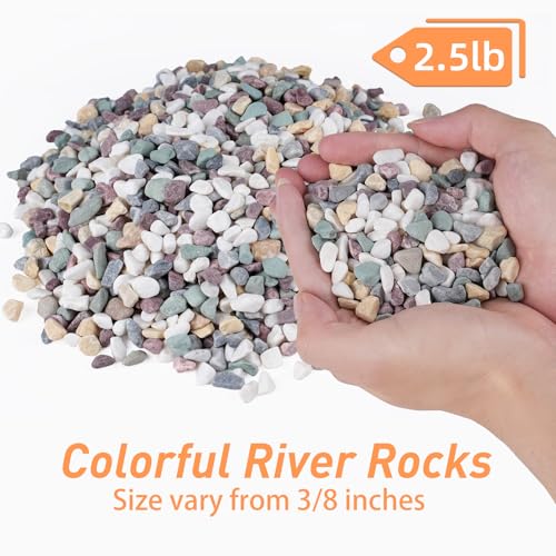 Image of Pulovin 2.5 lbs Pea Gravel for Plants, Aquarium, Fish Tank, 3 /8 inch Decorative Pebbles for Indoor Plants, Succulent, Bamboo, Vase, Drainage Rocks for Potted Plants, Top Dressing, Mixed Color
