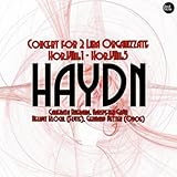 Concert for 2 Lira Organizzate in G major, Hob.VIIh:2: I. Vivace assai