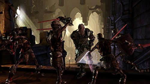Dragon Age: Origins [Software Pyramide]