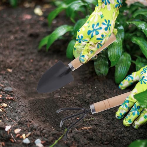 Set de herramientas de jardinería 3 piezas con pala y rastrillo miniatura 6