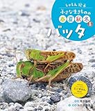 バッタ8 しゃしん絵本 小さな生きものの春夏秋冬