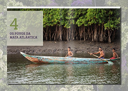 Mata Atlântica: A história de uma paisagem